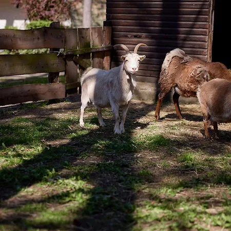 Hotel Der Valk Naturresort Drewitz 4*