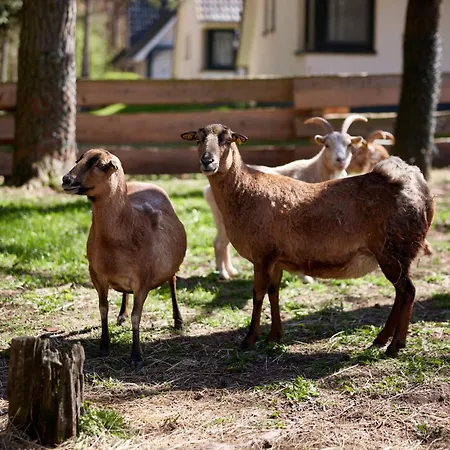 Der Valk Naturresort Drewitz Hotel