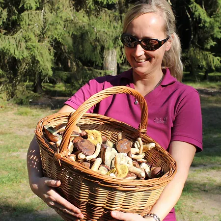 Hotel Der Valk Naturresort Drewitz 4*